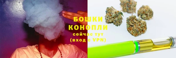 гидра Яранск