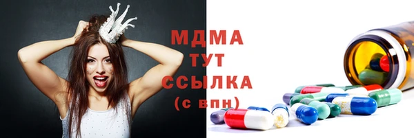 стаф Каменка