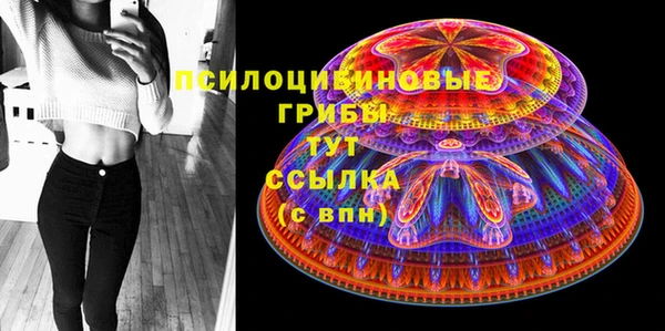 прущая мука Каменногорск