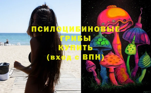 стаф Каменка