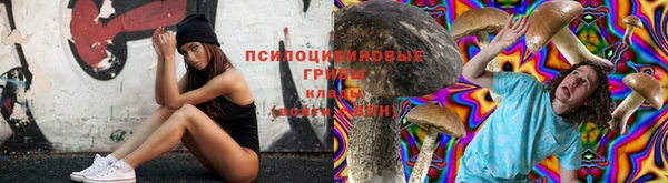 прущая мука Каменногорск