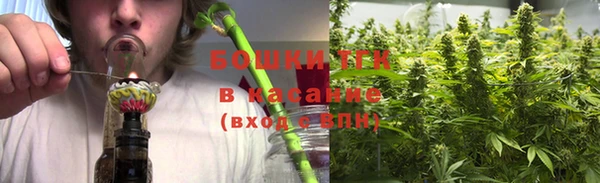 гидра Яранск