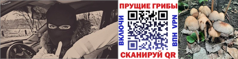 Купить закладки  Родники  Псилоцибиновые грибы Magic Shrooms 